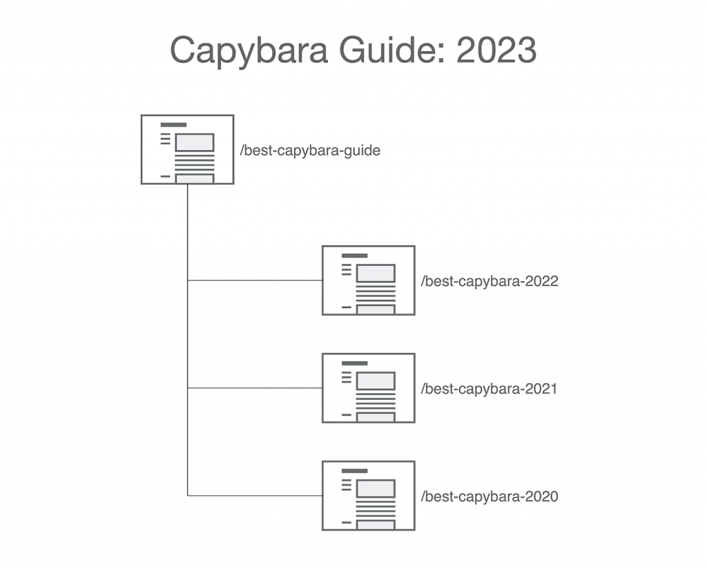 Image: Capybara Guide 2021 with a non-date-specific URL. 2020 is archived to a date-specific URL.