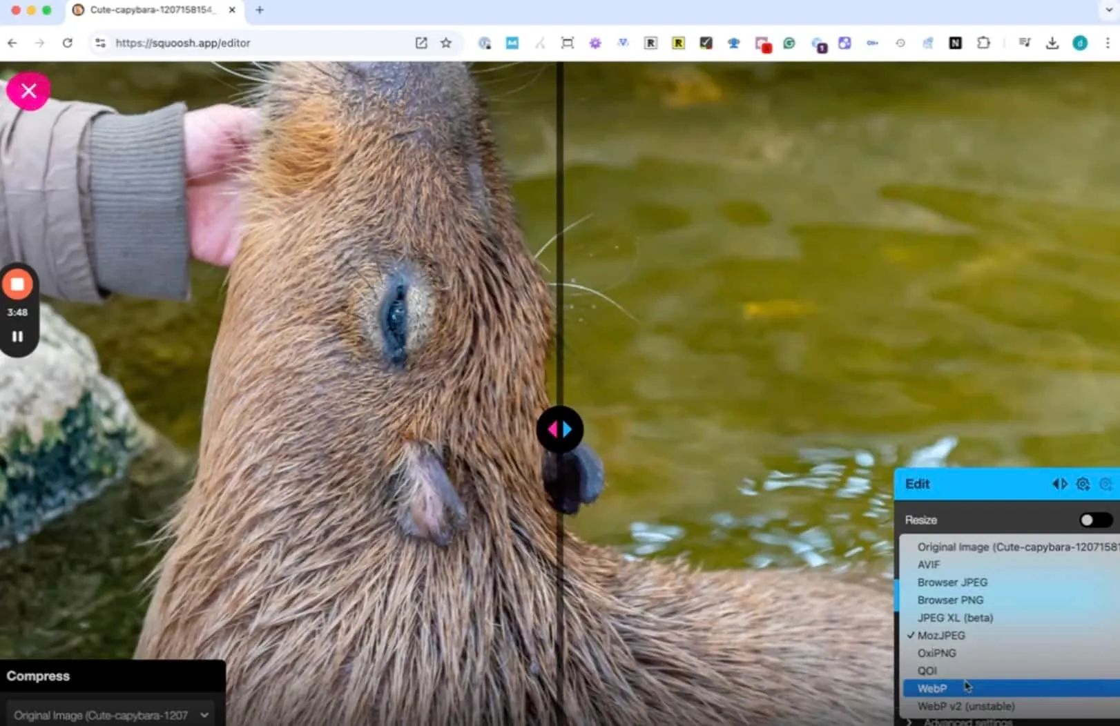 Using Squoosh for image compression