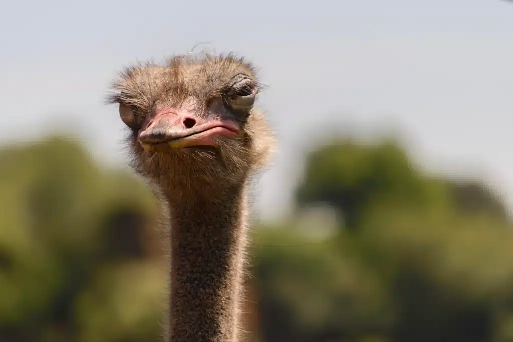 this is my stop it face