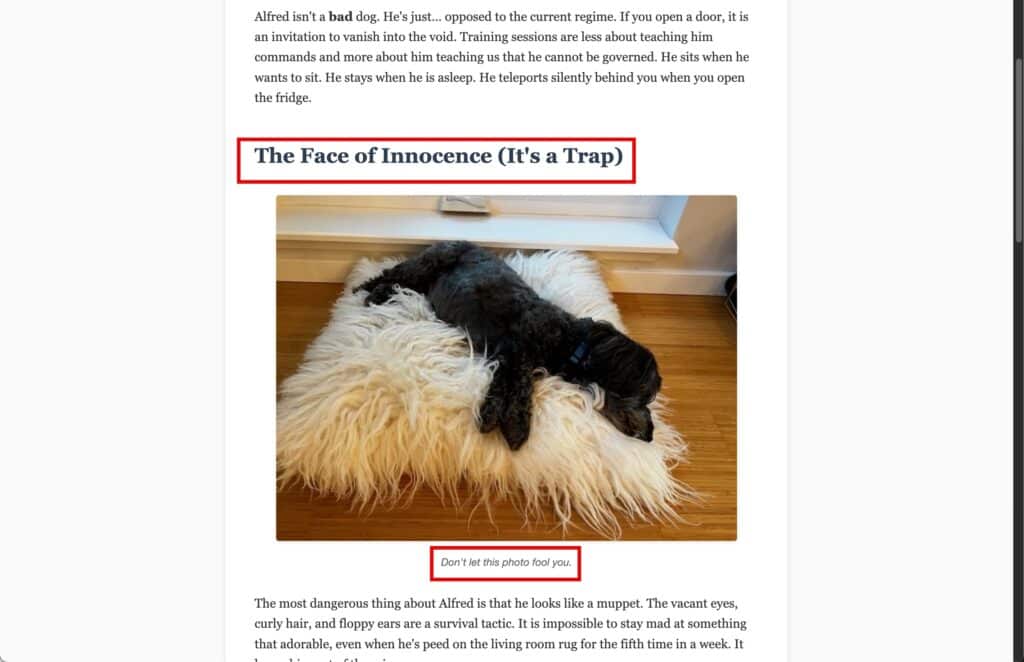 The H2 and caption add more precise context for each image's ALT text.